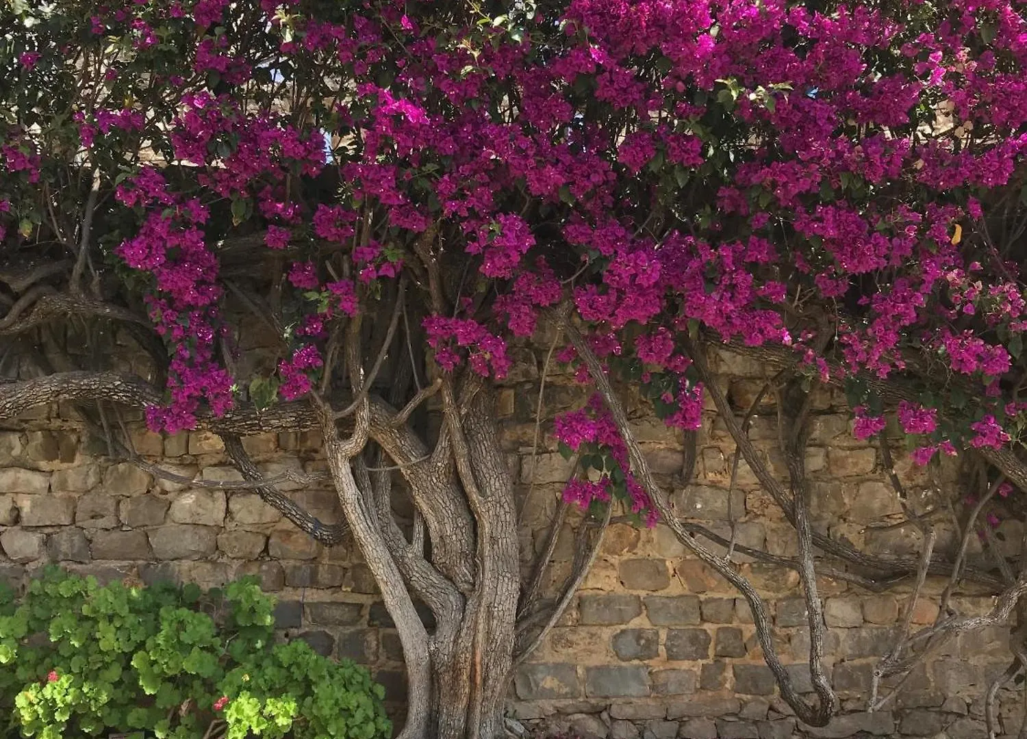 Casa Tedi: Luxurious Villa with Pool and Gardens in Tavira Holiday home